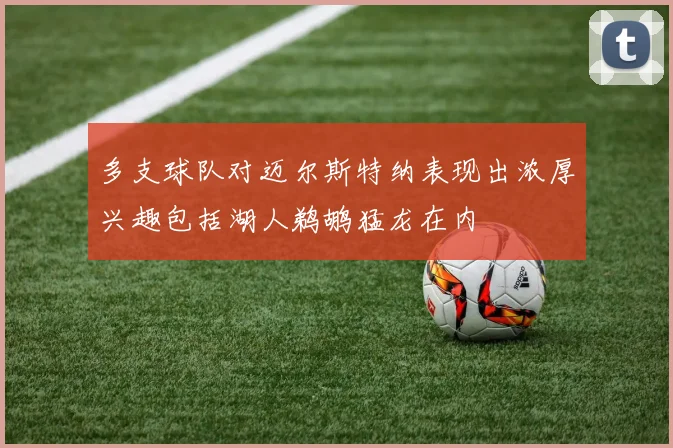 多支球队对迈尔斯特纳表现出浓厚兴趣包括湖人鹈鹕猛龙在内